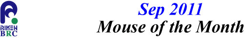 mouse_of_month_201109