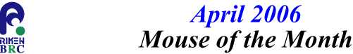mouse_of_month_200604