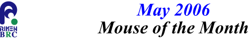 mouse_of_month_200605