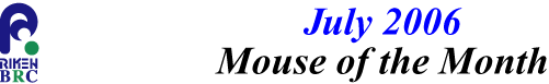 mouse_of_month_200607