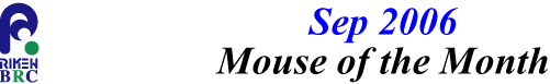 mouse_of_month_200609