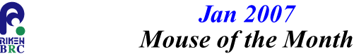 mouse_of_month_200701