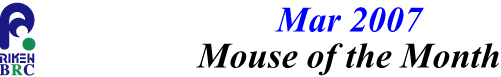 mouse_of_month_200703