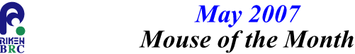 mouse_of_month_200705