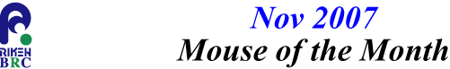 mouse_of_month_200711
