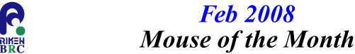 mouse_of_month_200802