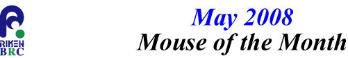 mouse_of_month_200805