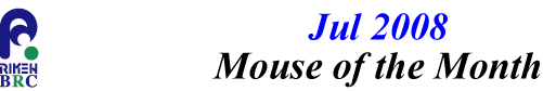mouse_of_month_200807