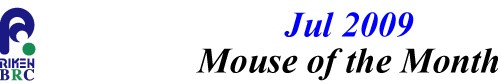 mouse_of_month_200907