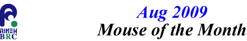mouse_of_month_200908