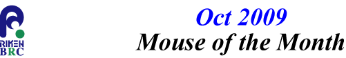 mouse_of_month_200910