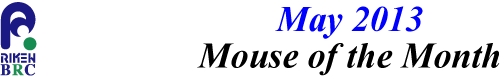 mouse_of_month_201305