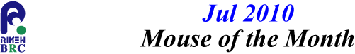 mouse_of_month_201007