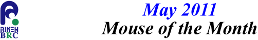 mouse_of_month_201105