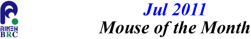 mouse_of_month_201107