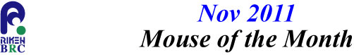 mouse_of_month_201111