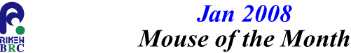 mouse_of_month_200801