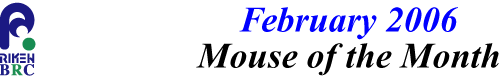 mouse_of_month_200602