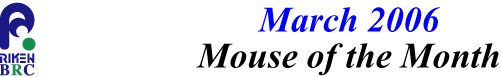 mouse_of_month_200603
