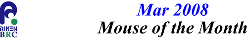 mouse_of_month_200803