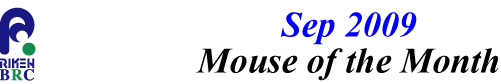 mouse_of_month_200909