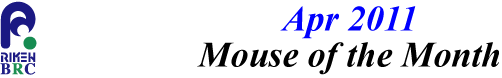 mouse_of_month_201104