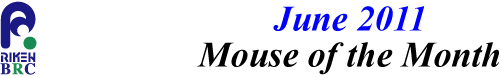 mouse_of_month_201106