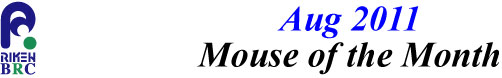 mouse_of_month_201108