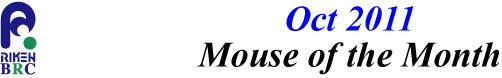 mouse_of_month_201110