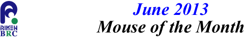 mouse_of_month_201306