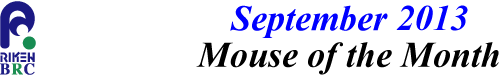 mouse_of_month_201309