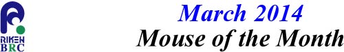 mouse_of_month_201403