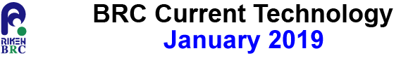 current_tech_Jan_2019